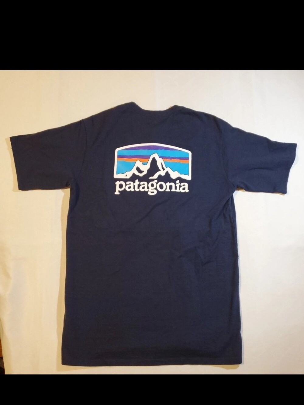 Patagonia Navy Blue Short Sleeve Tee with Mountain Logo